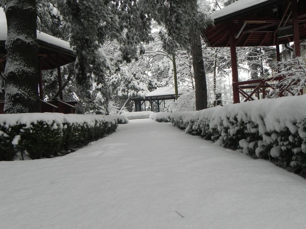 Hotel Baneasa Parc Bukarest Exterior foto